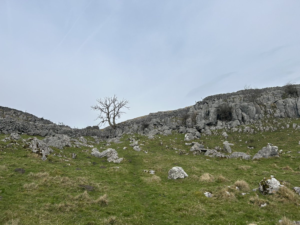 Paul Wood tweet media