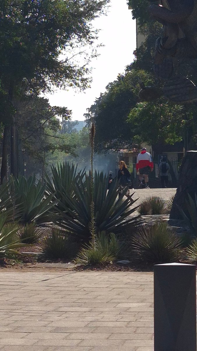 Efren Casas tweet media