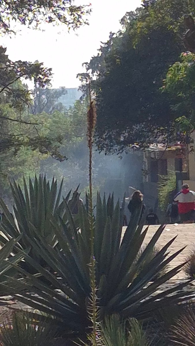 Efren Casas tweet media