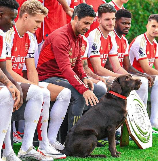 Futureman tweet media