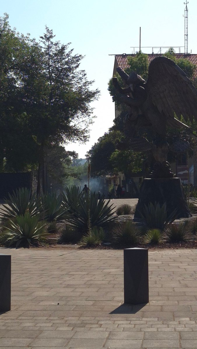 Efren Casas tweet media