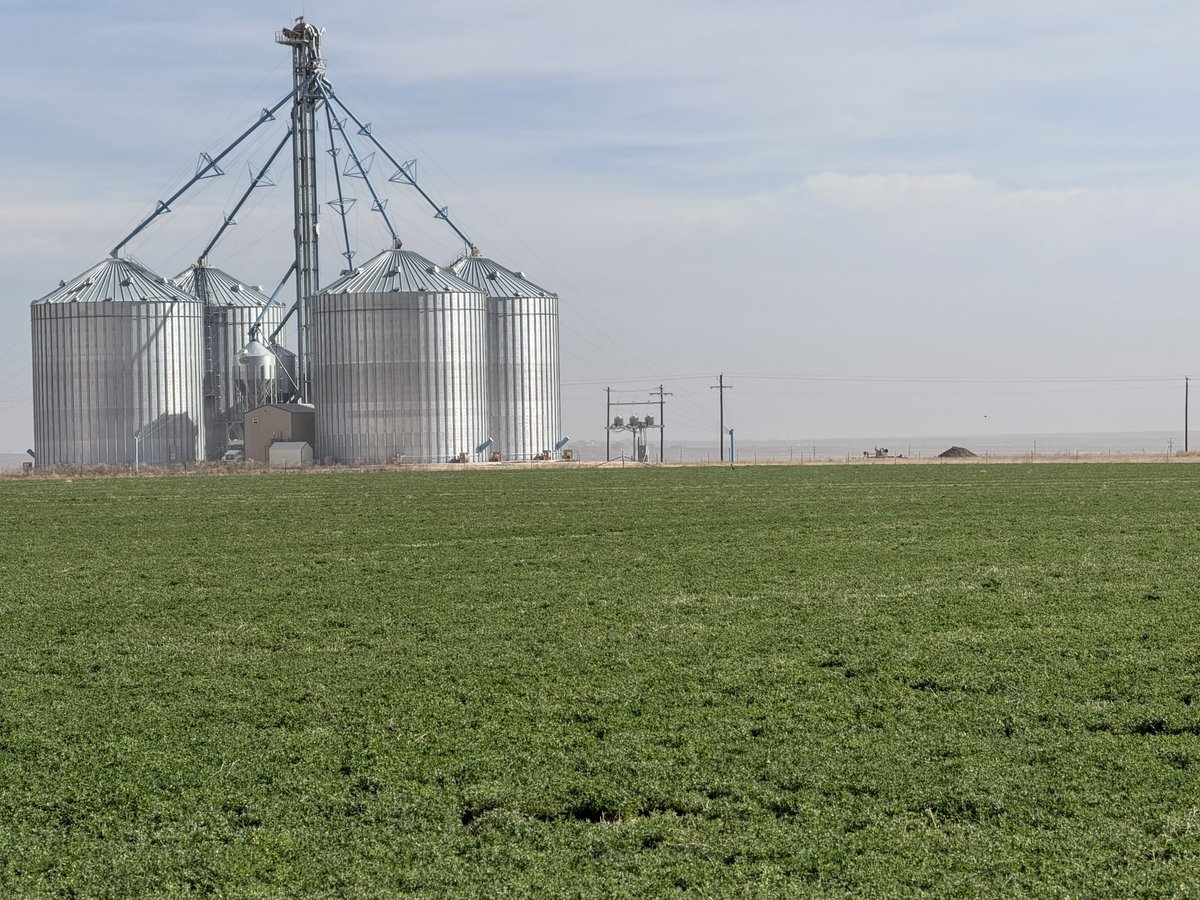 Simscott tweet media