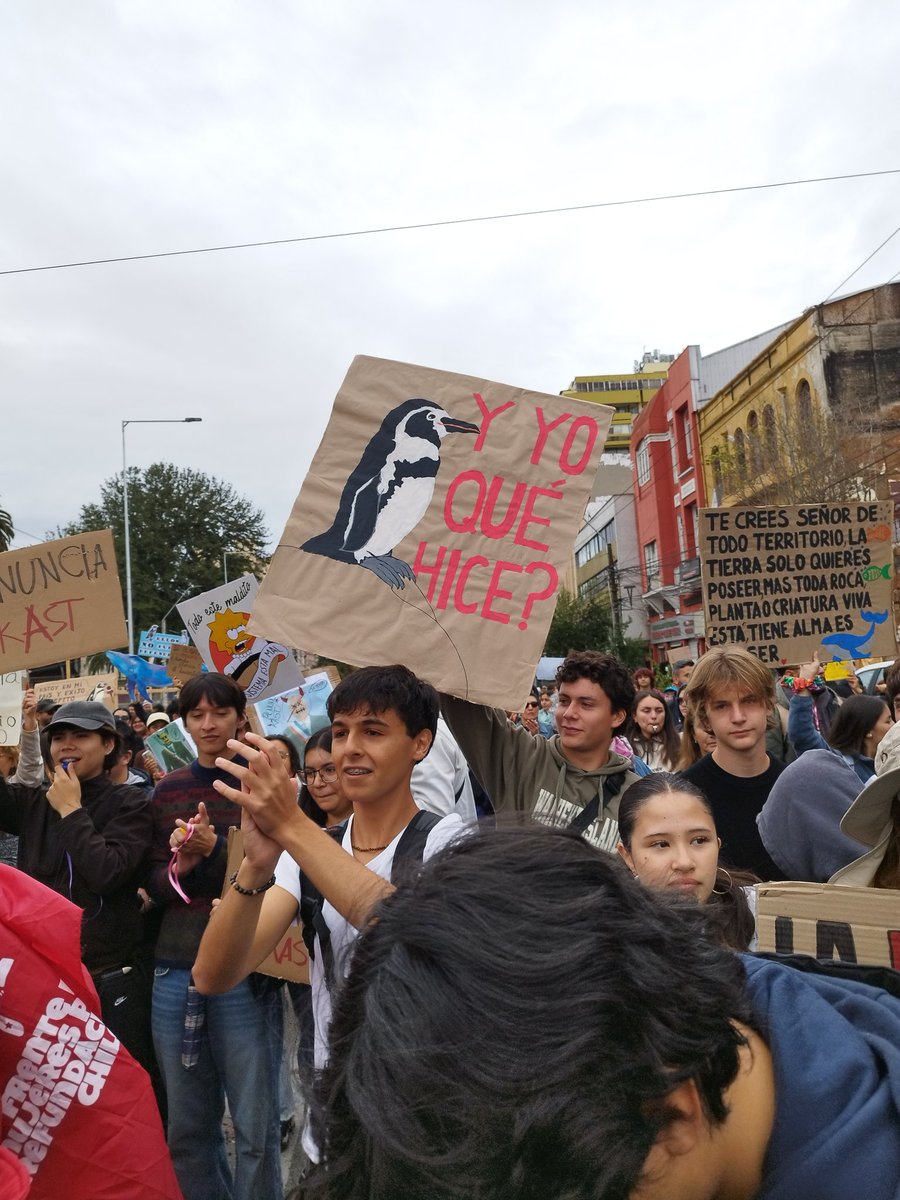 Tarquino Paspala tweet media