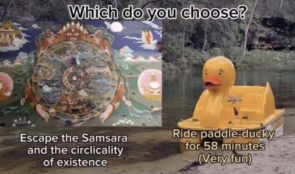 LSD and Trips ☄️ tweet media