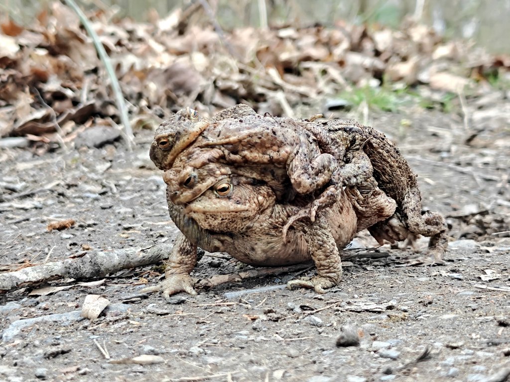 ポン🇬🇧👩🔬 tweet media