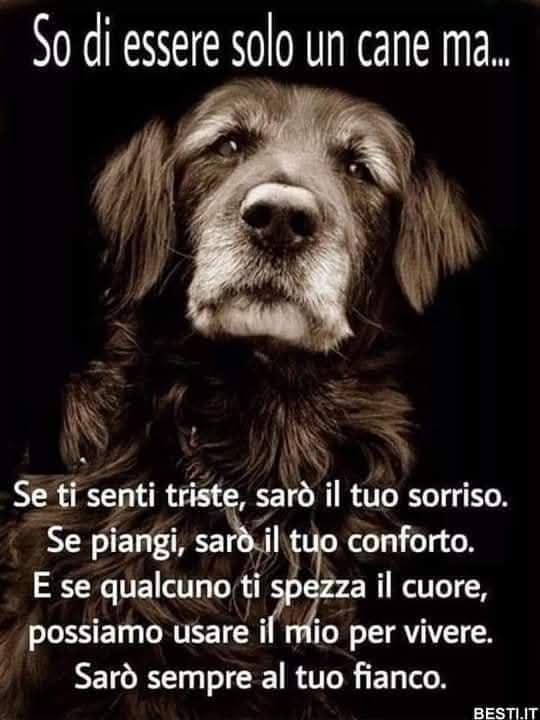 Patrizia💙 tweet media