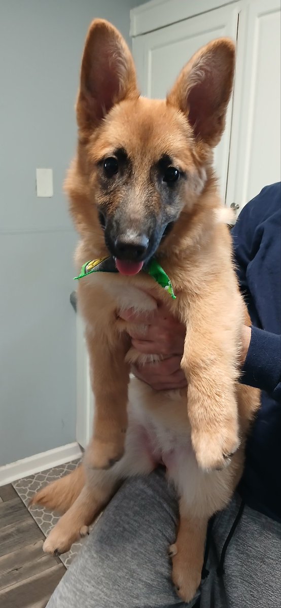 Peachlynn🦴 tweet media