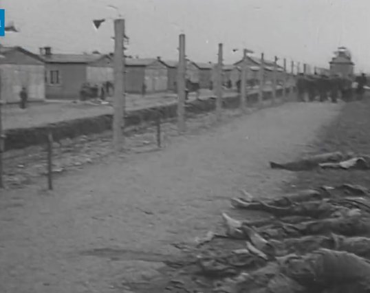 Jew in a Canoe ✡️🇨🇦 memoir now available! tweet media