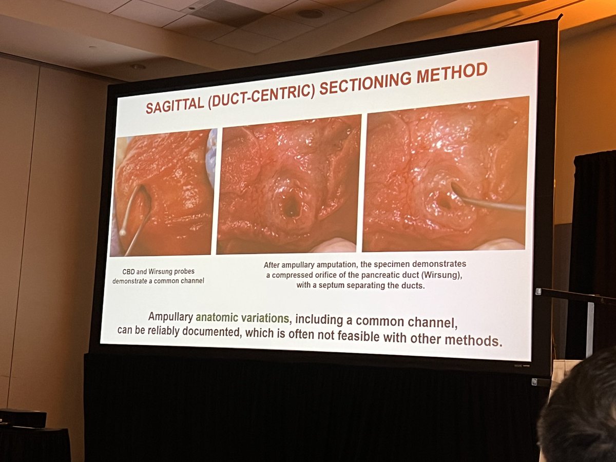 Monika Vyas tweet media