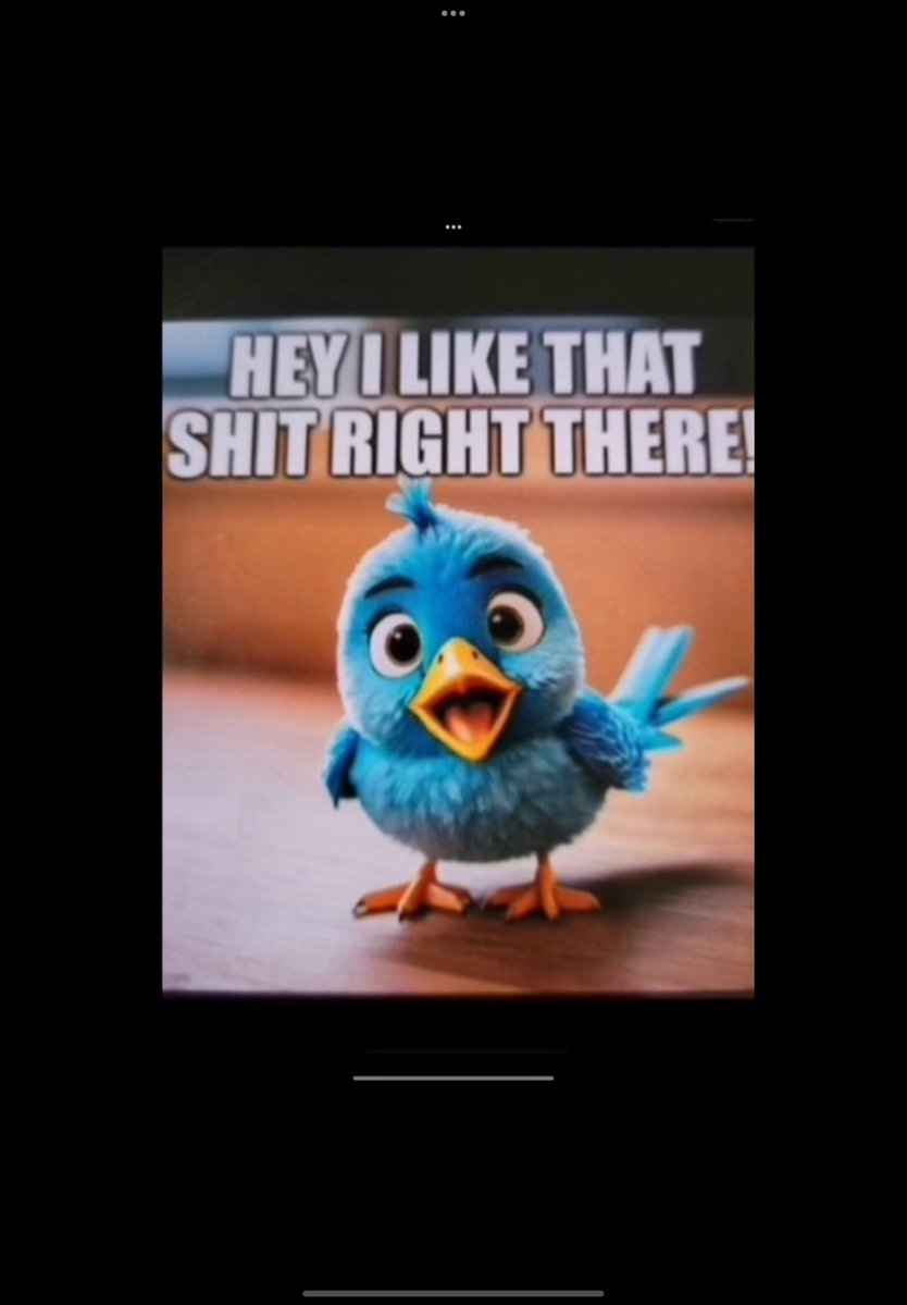 JustDeb💙🇺🇸🏳️‍🌈🇺🇦💉🌳 tweet media