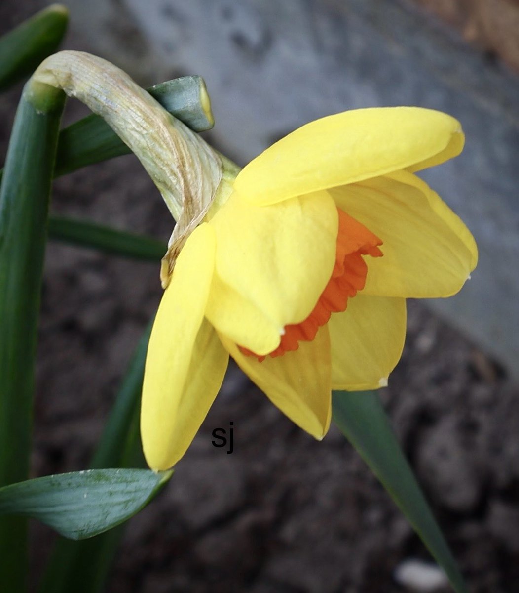 Sandra 🐝 tweet media