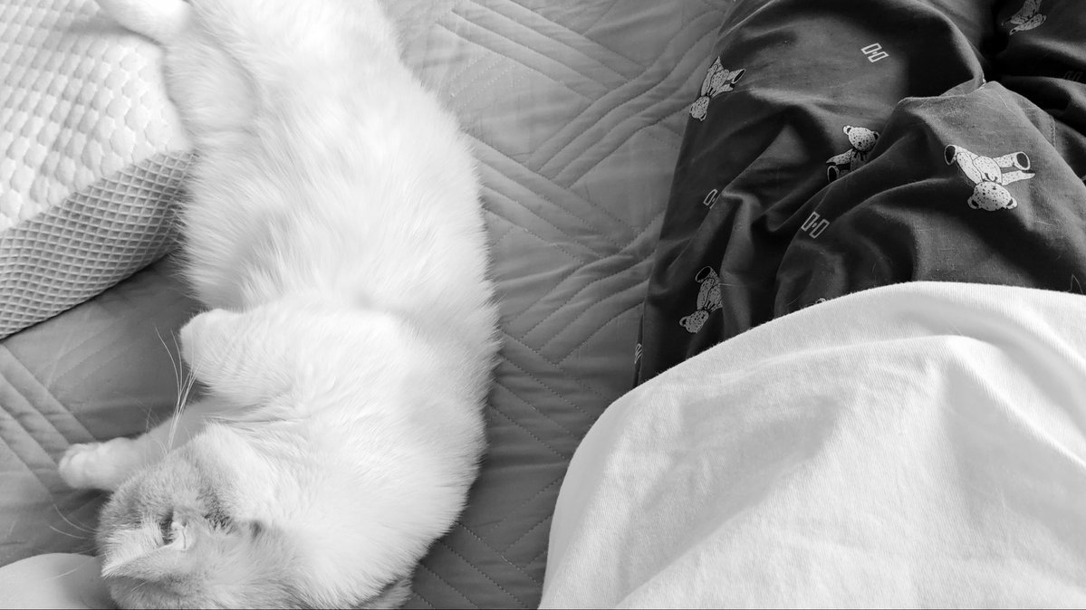 YI🍀北京面基版 tweet media