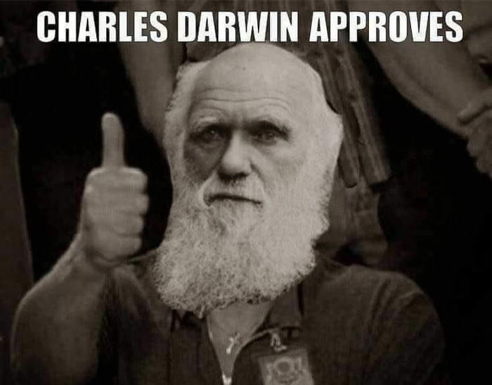 Based Entertainment tweet media