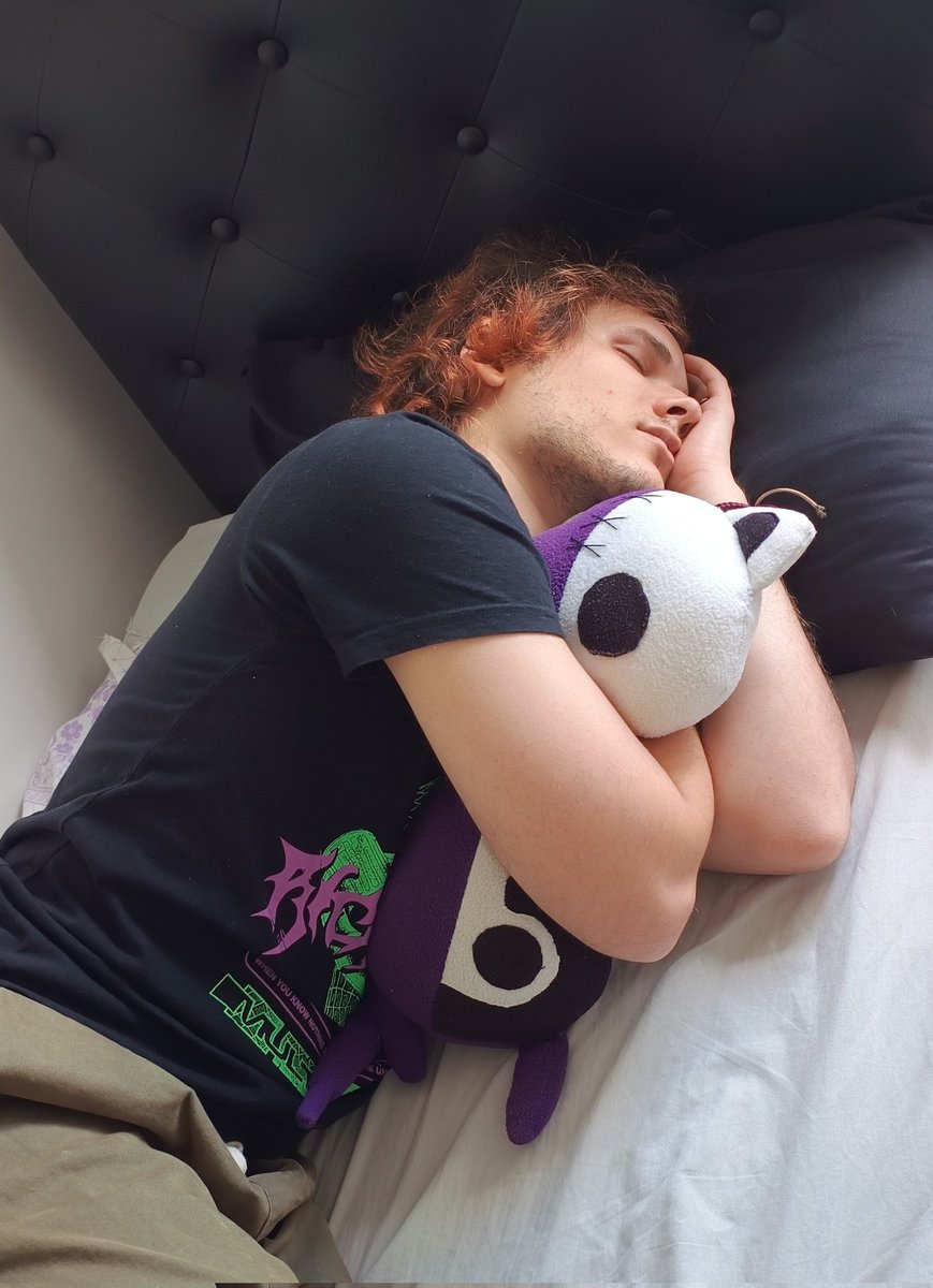 mephisto 🦎 tweet media