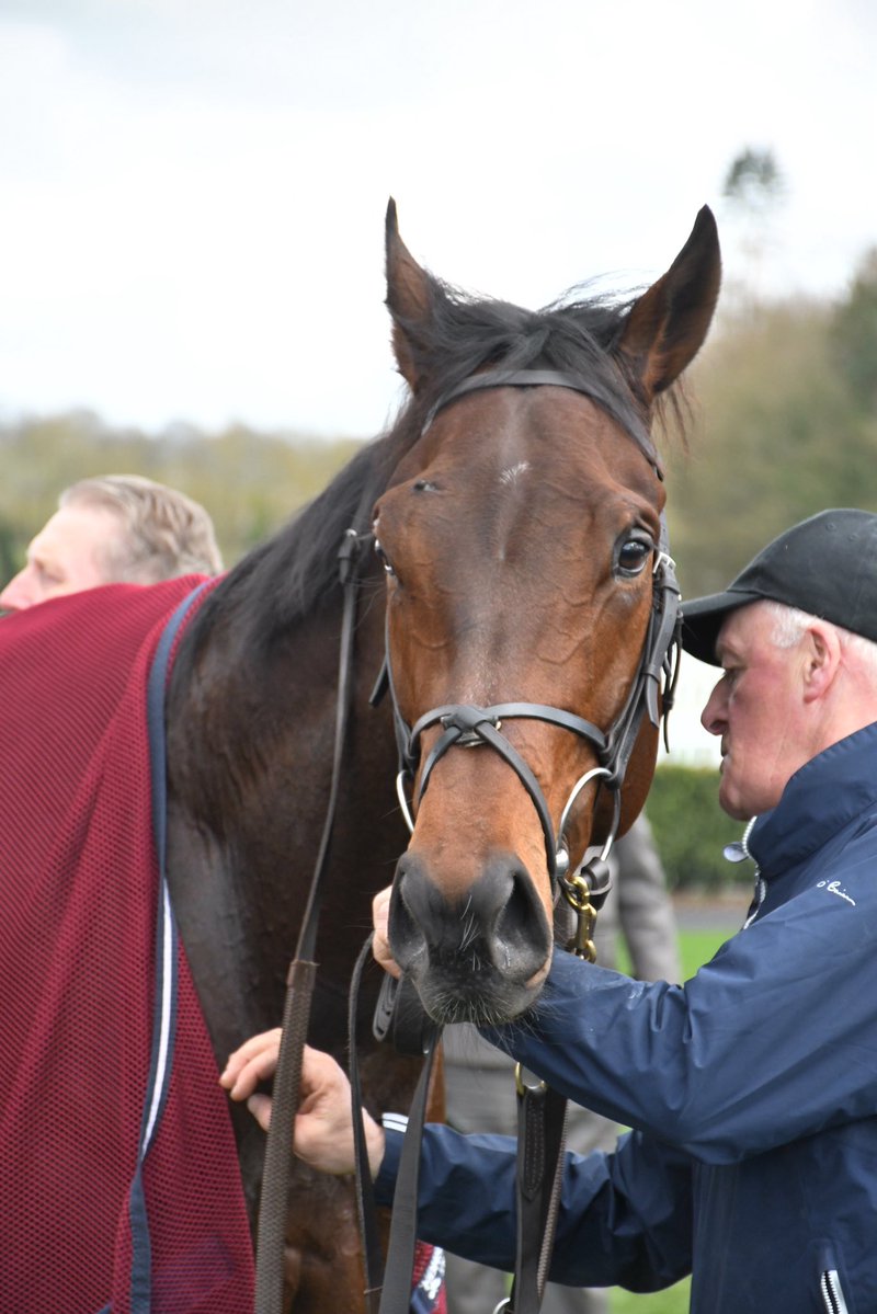 PCequinephotography tweet media