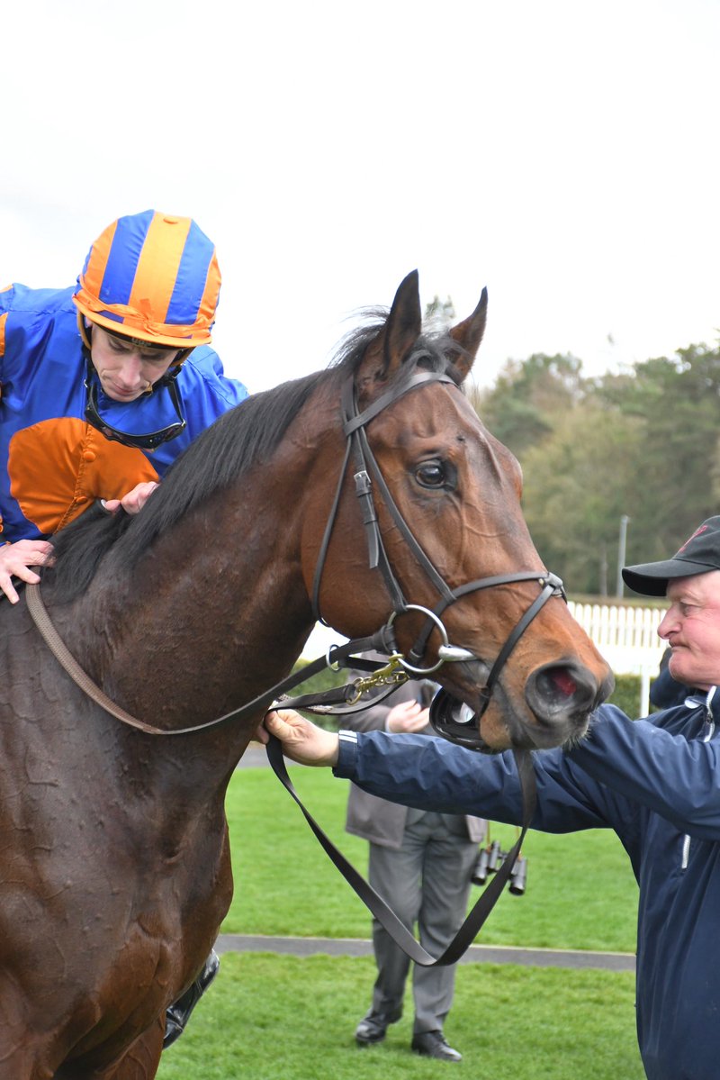 PCequinephotography tweet media