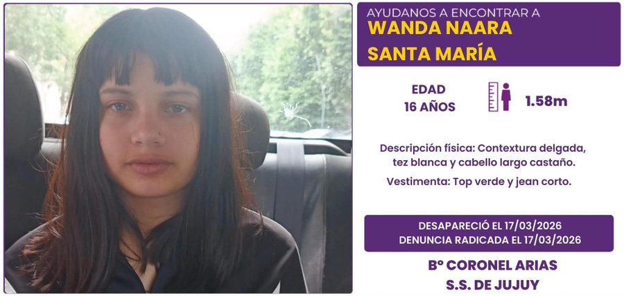 Kukardos siendo domados tweet media