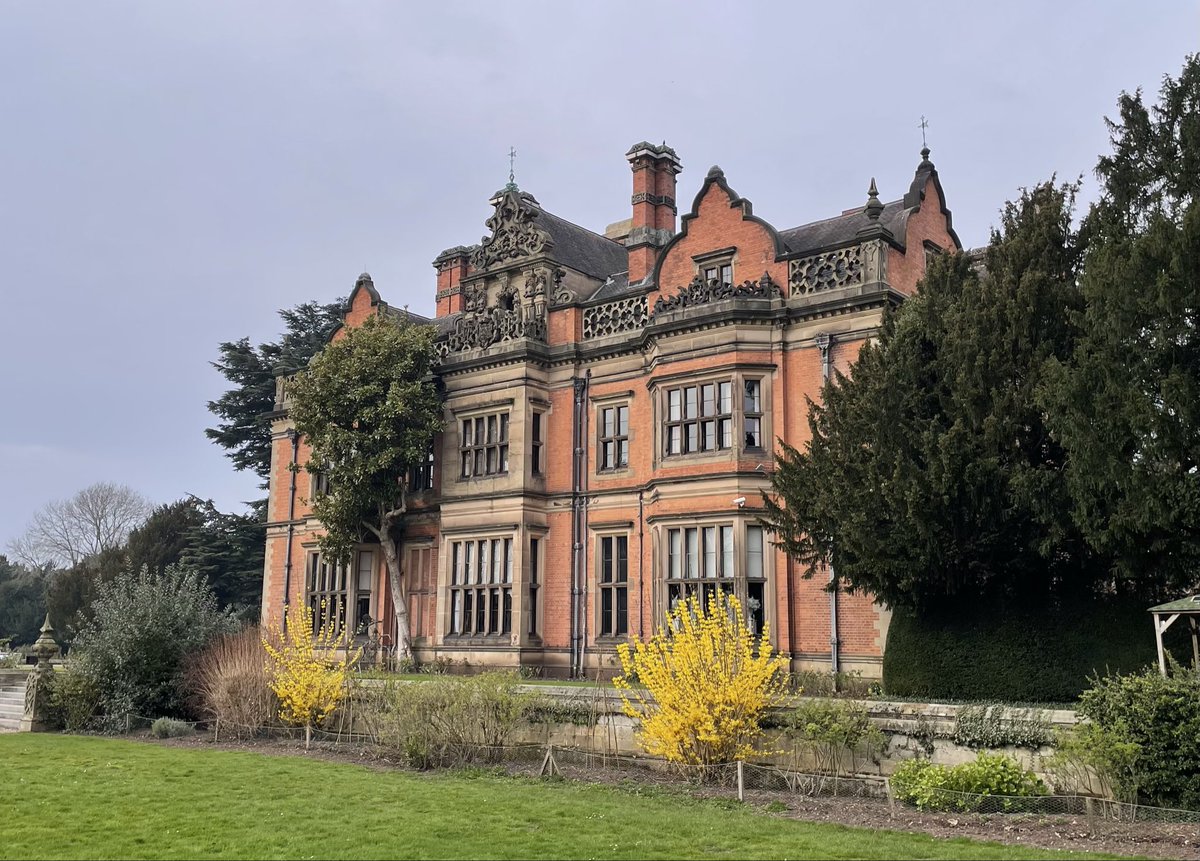 David Fox tweet media