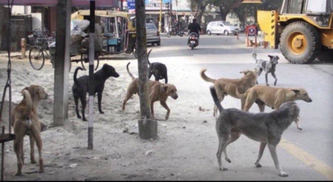 Daddy Mike tweet media