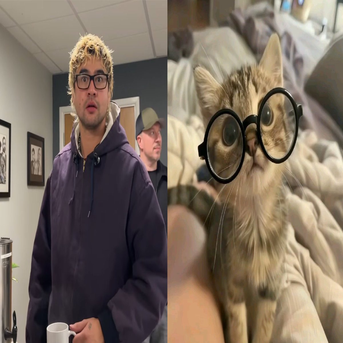 rin リン ⁸¹ ☆⋆🎱 tweet media