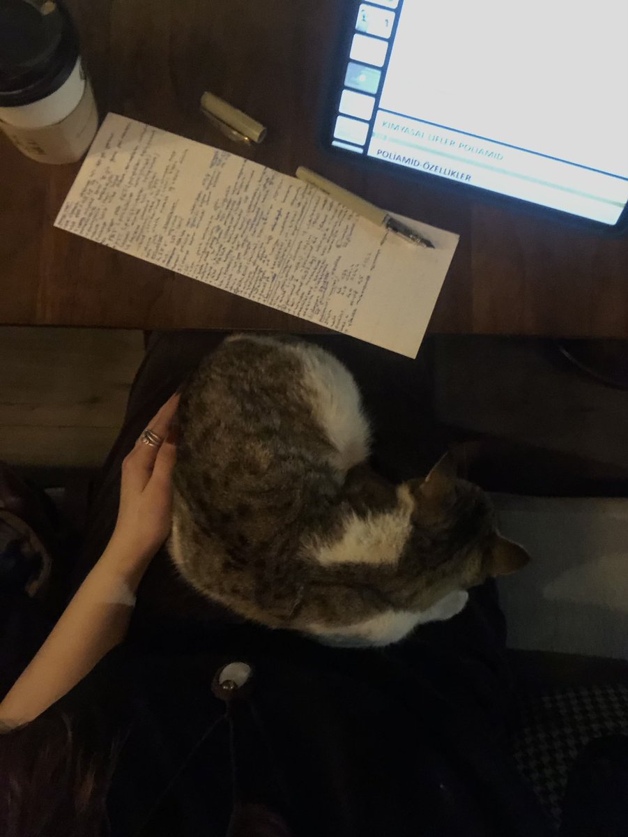 ⋆.˚ 𓆝 şevval tweet media