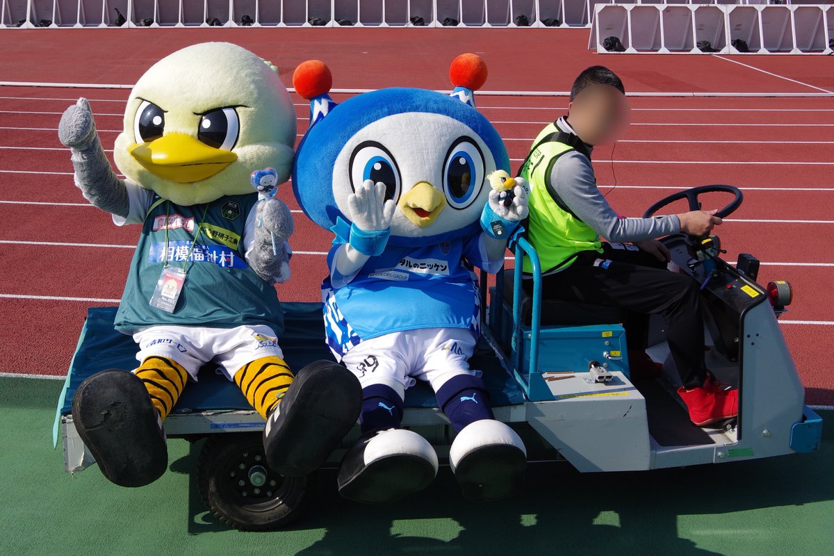 ハルノリ ฅʕ´•ᴥ•`ʔฅ ワーイ! tweet media