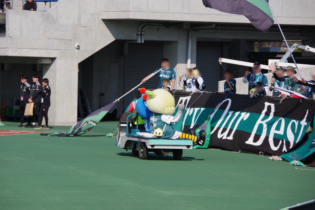 ハルノリ ฅʕ´•ᴥ•`ʔฅ ワーイ! tweet media