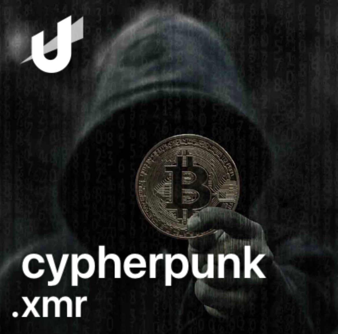 chuck.norris.x tweet media