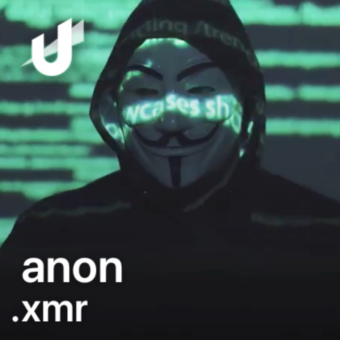 chuck.norris.x tweet media