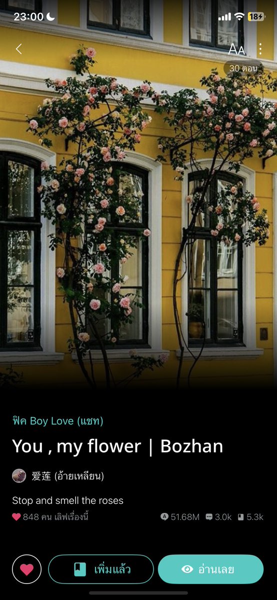 ✿ เบบี๋อุ๋งชีเบ้บ ̗·͡˔·ོᵔ̩̩͔·͡˔·◌̖ ✿ tweet media