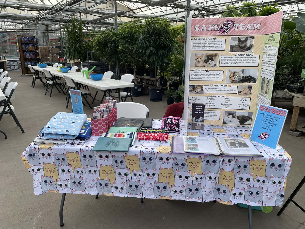 SAFE Team Rescue tweet media