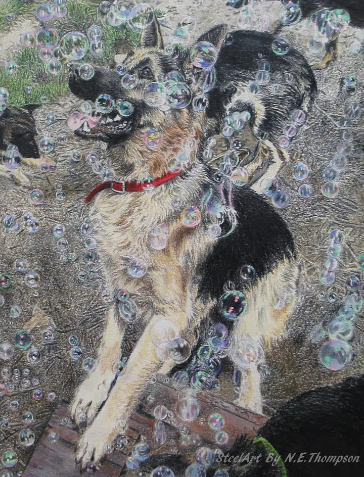 Nina E. Thompson tweet media