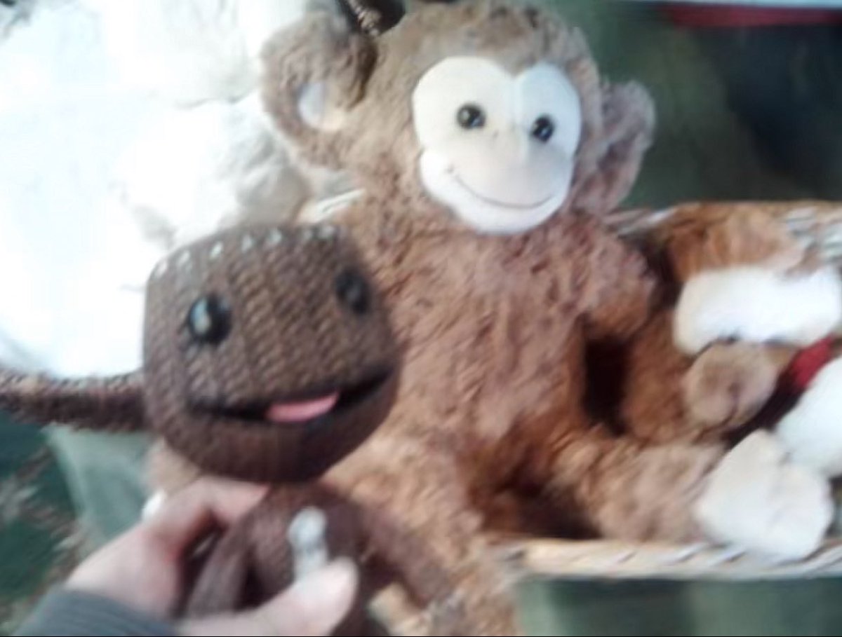 sackboy daily tweet media