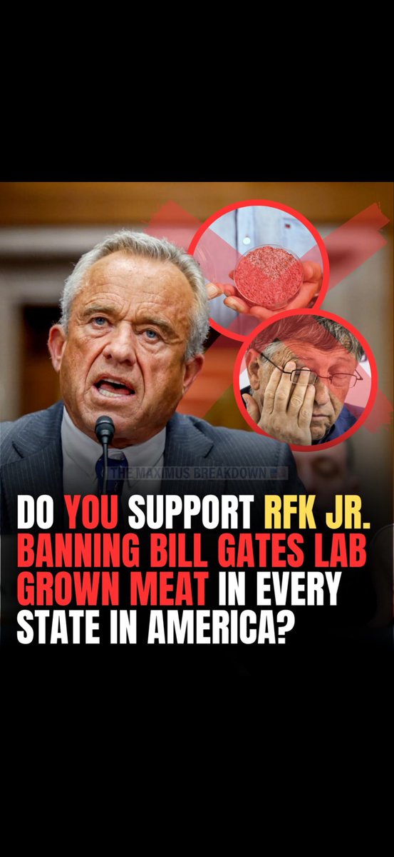 Primrose tweet media