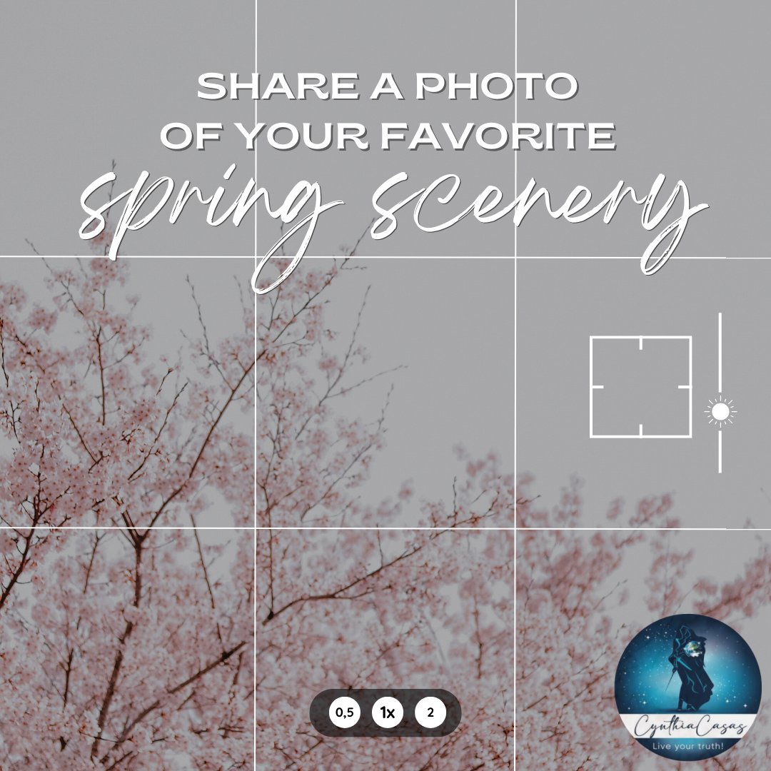 CynthiaCasas_'s tweet image. Let's celebrate Spring! Share a photo of your favorite spring scenery - whether it's blooming flowers, a vibrant sunset, or the greenery that lifts your spirits. Let's do this! #SpringScenery #SpringVibes #SpringBreak
