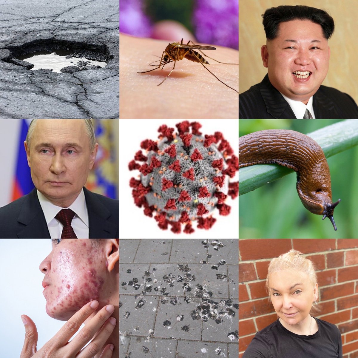 Dr. Dame Katy Denise CH GBE 🏳️‍⚧️🇳🇬🪑 tweet media