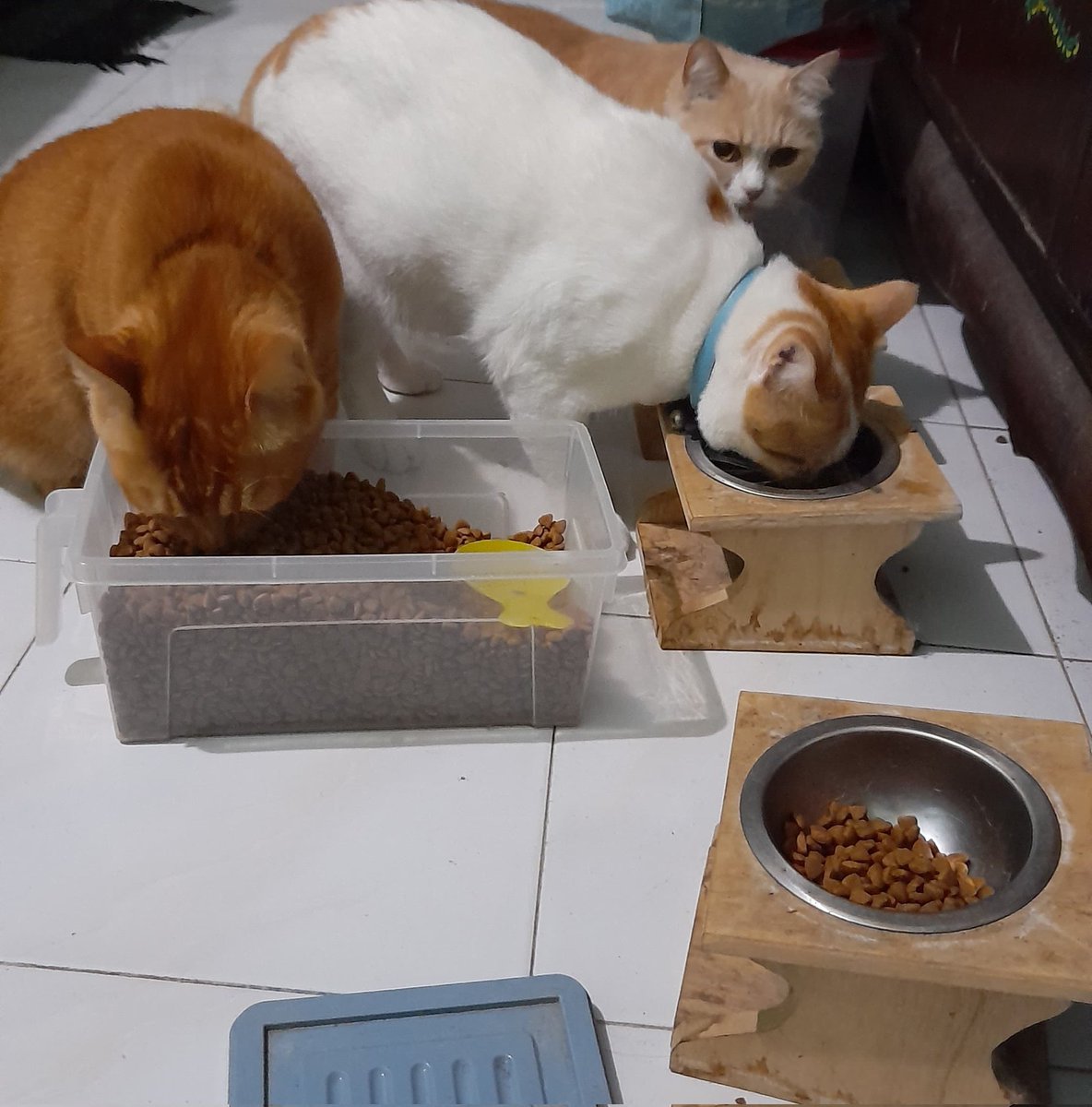 Mocca choco latte ☕ tweet media