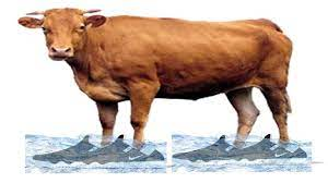 리벨라테@펜리르 tweet media