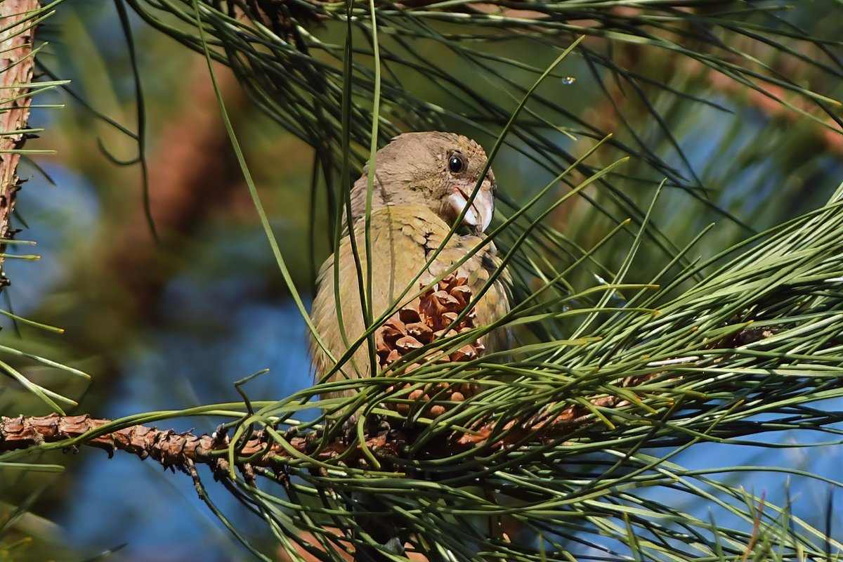 Phil Burnside tweet media