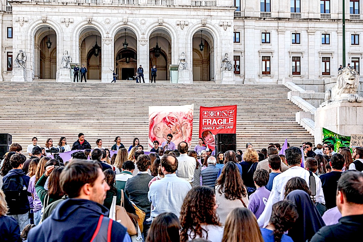 Sofia Afonso Ferreira tweet media