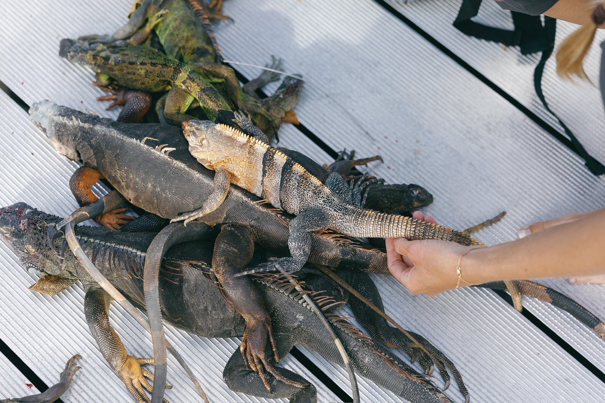 Allie ✞ tweet media