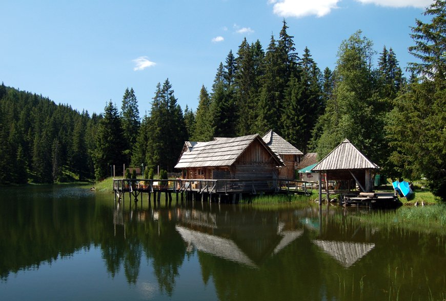 Dom Wolves tweet media