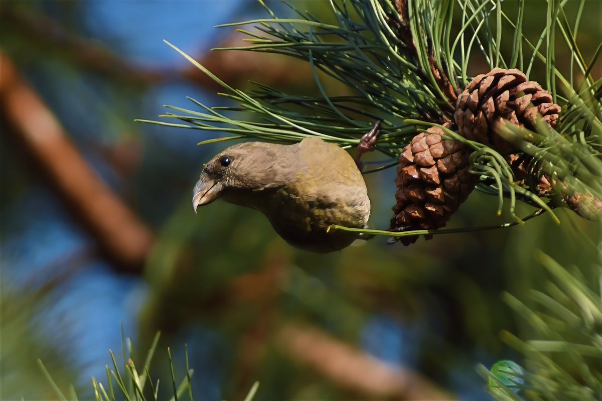 Phil Burnside tweet media