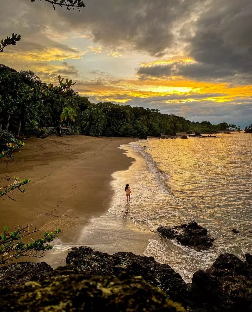 Colombia En Fotos 📸 tweet media