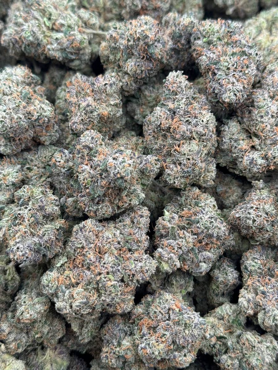 🍃👻 tweet media