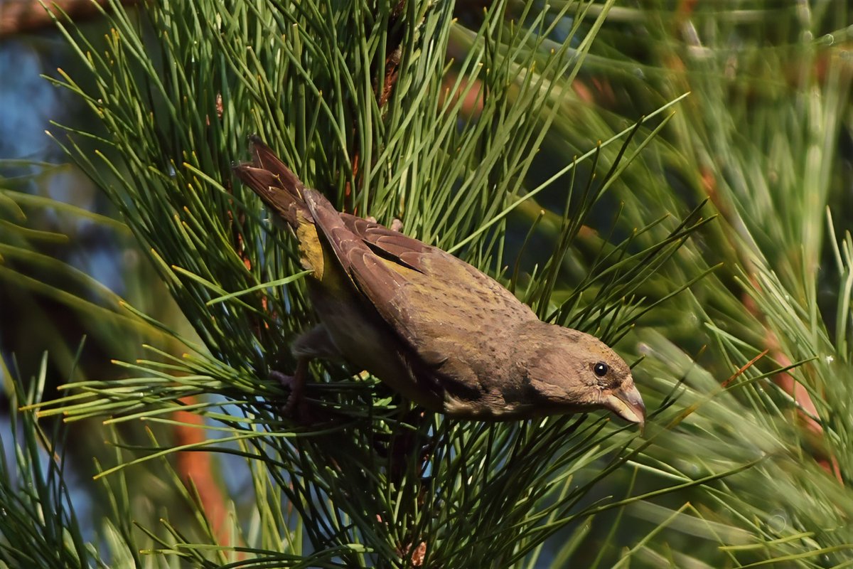 Phil Burnside tweet media