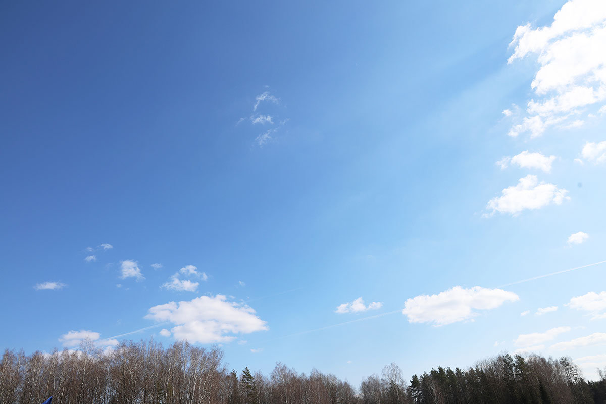 Госстандарт tweet media