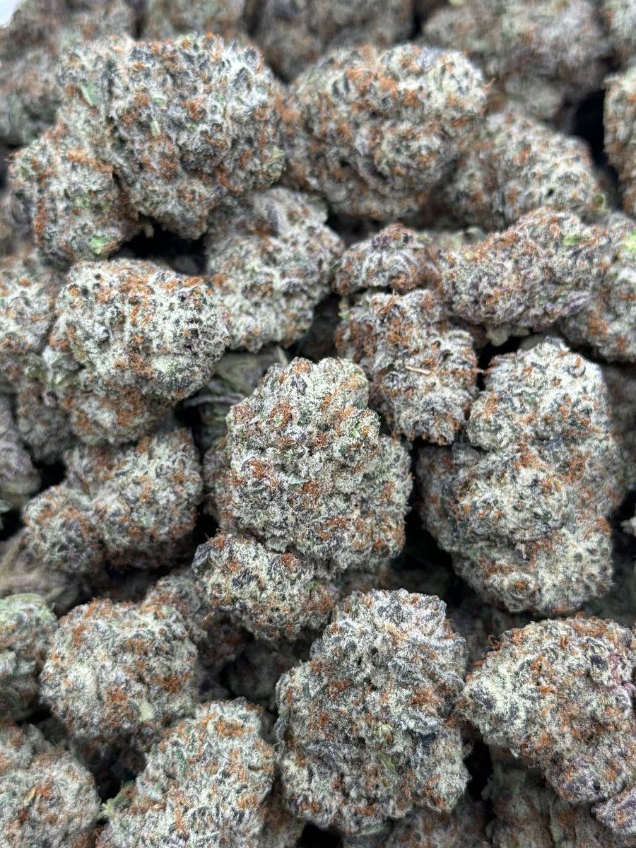 🍃👻 tweet media