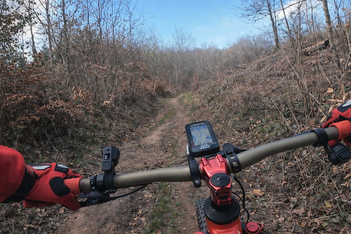 kevcreation's tweet photo. Sortie VTT version aventure 🚴‍♂️🌿Forêt, champs, rencontres et zéro pression.
Juste rouler et profiter 🔥
#VTT #Aventure #RideNature #Outdoor #Explore #BikeLife https://t.co/cHtxKH044w