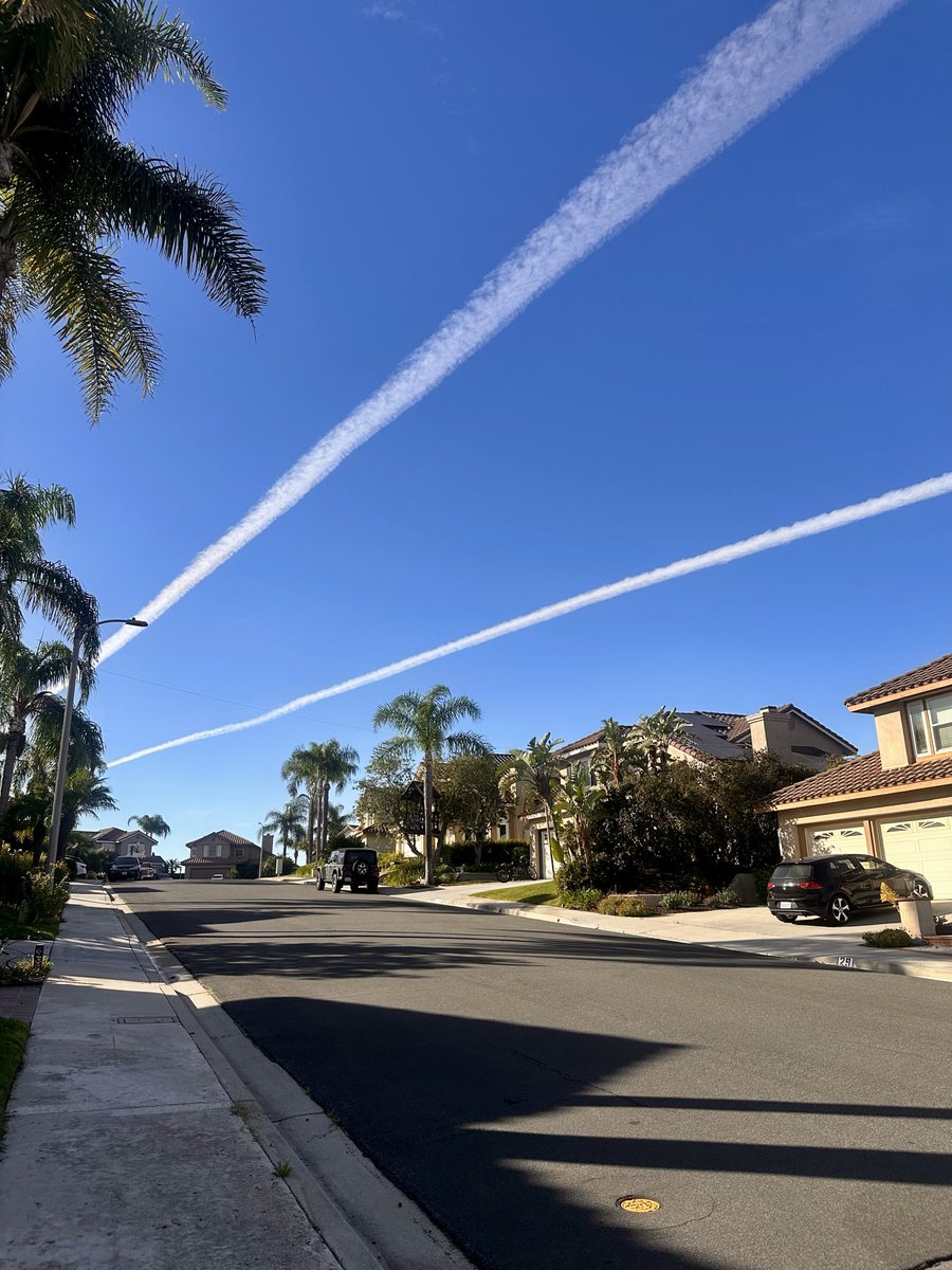 Roxy al-Swearengen tweet media